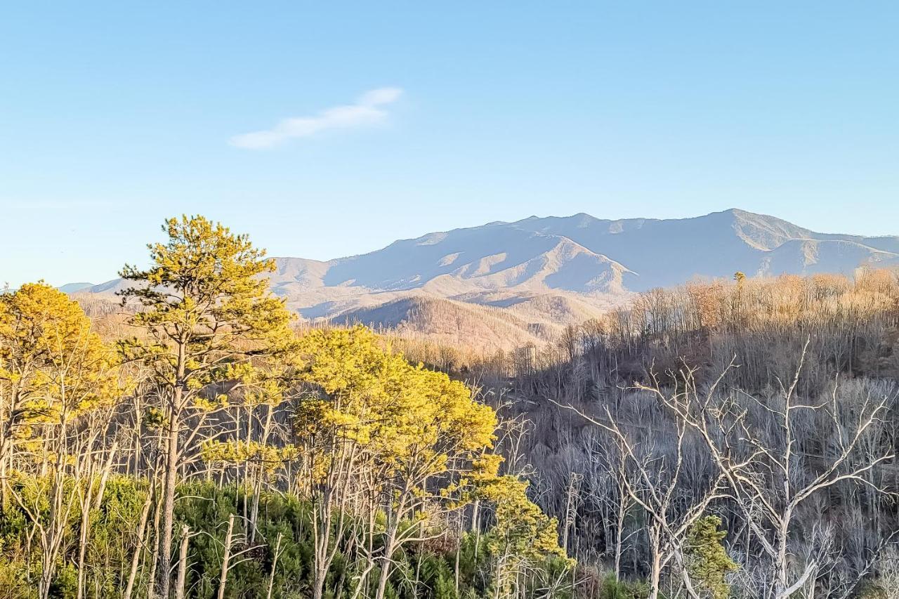 3 Lazy Bears Chalet ガトリンバーグ エクステリア 写真